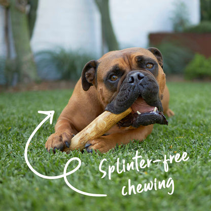 Dental Chew - Coffee Wood Stick