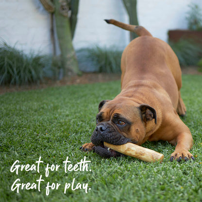 Dental Chew - Coffee Wood Stick