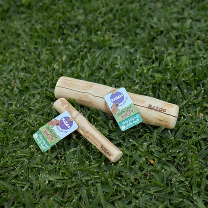 Dental Chew - Coffee Wood Stick