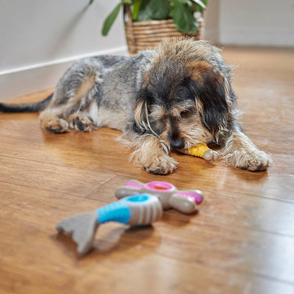 Tough N' Tasty Chew Bone - Chicken