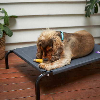 Tough N' Tasty Chew Bone - Chicken