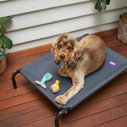 Tough N' Tasty Chew Bone - Chicken