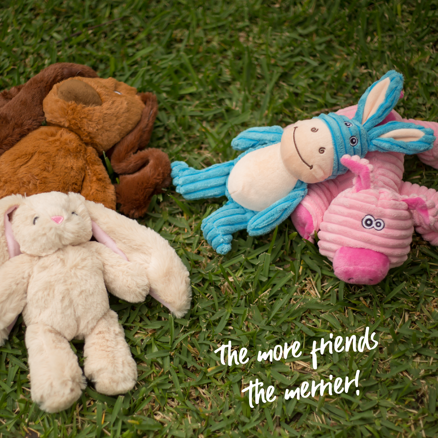 Furries - Long Ear Dog