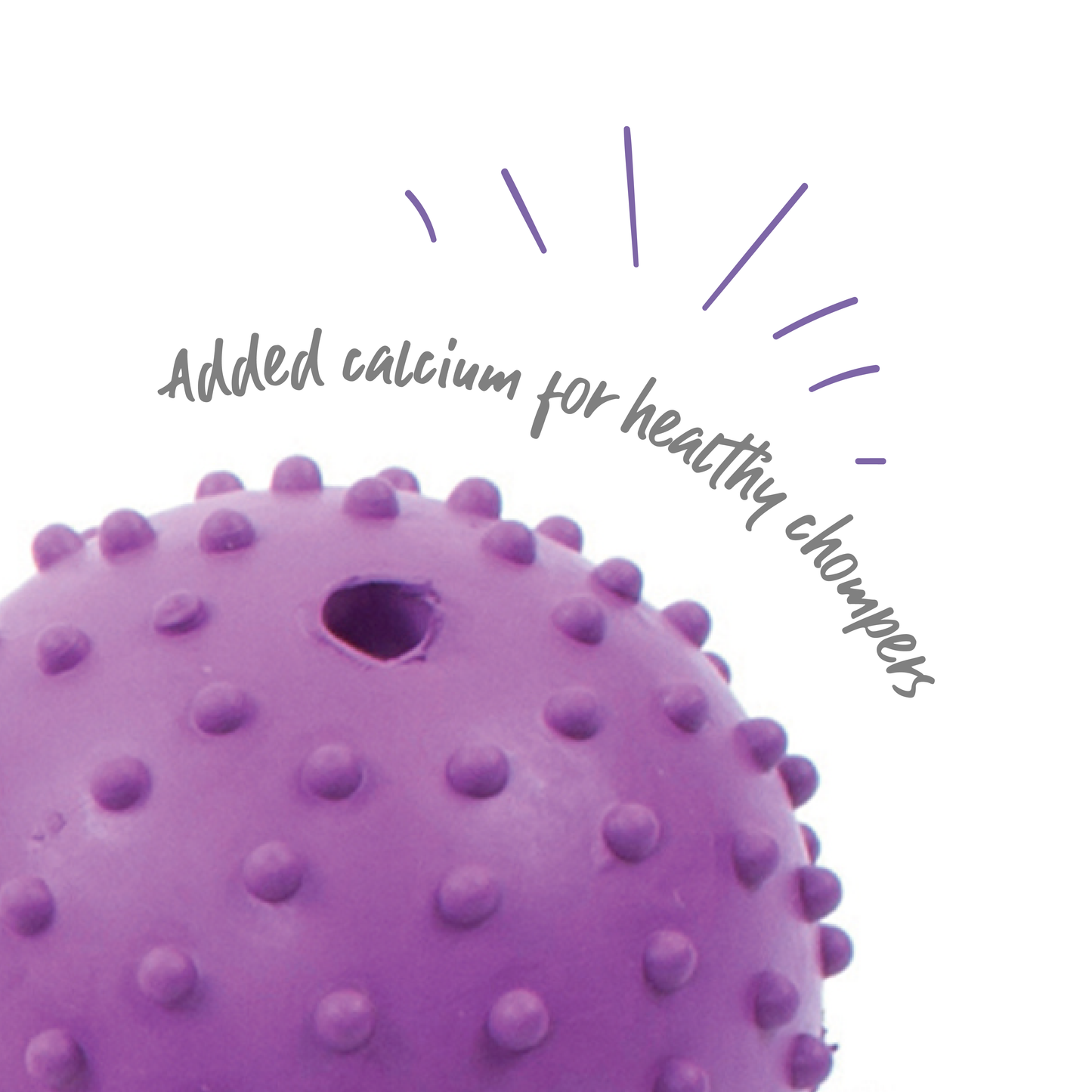 Super Strong Studded Rubber Ball Dog Toys