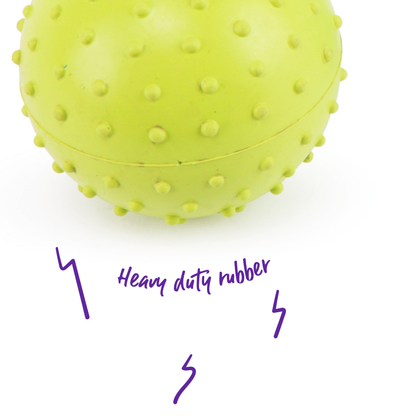 Super Strong Studded Rubber Ball Dog Toys