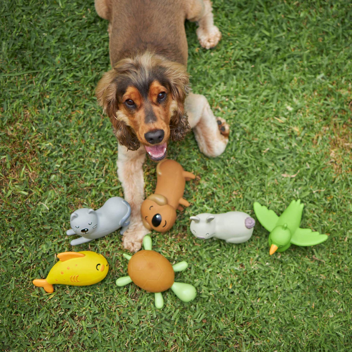 Vivi the Bunny - Medium Squeaky Dog Toy