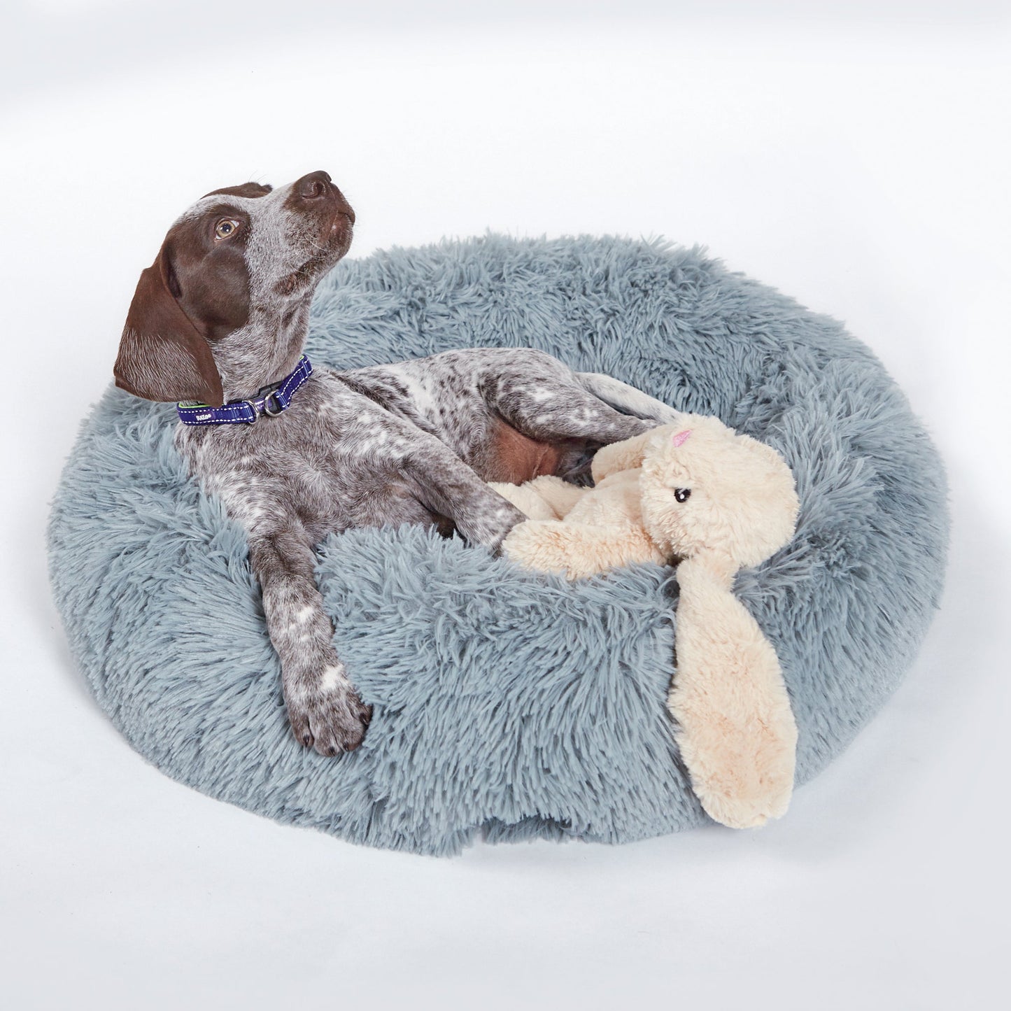 Furries - Long Ear Bunny