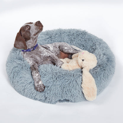 Furries - Long Ear Bunny