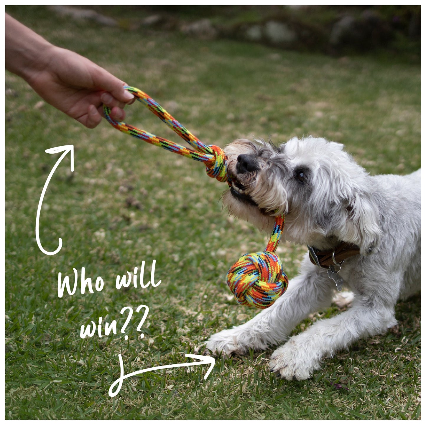 Braided Rope With Sling & Knot Ball DogToy