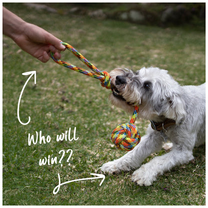 Braided Rope With Sling & Knot Ball DogToy
