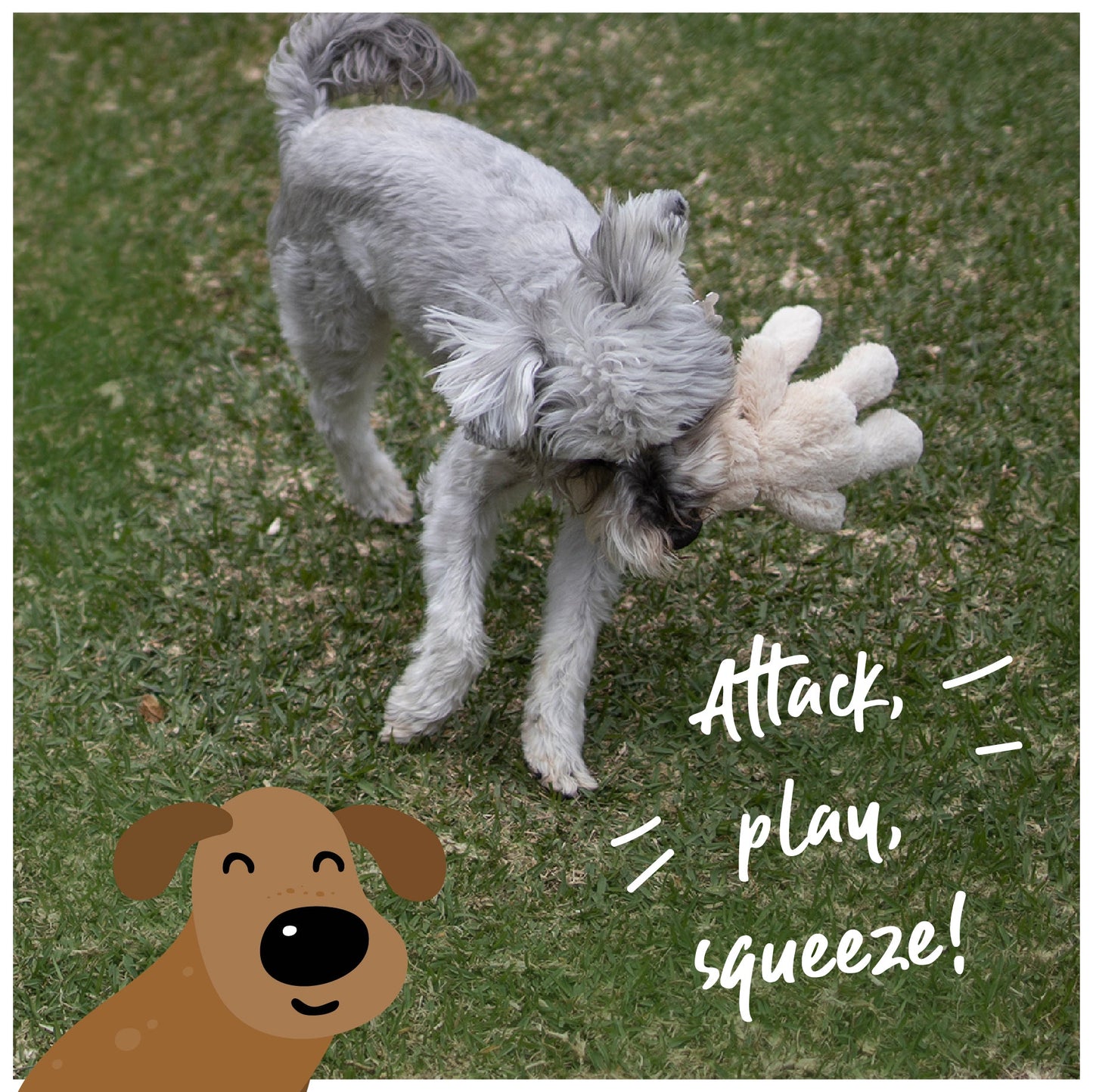 Furries - Long Ear Bunny