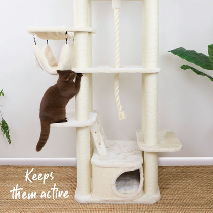 Kitty Climb Playground - Cream
