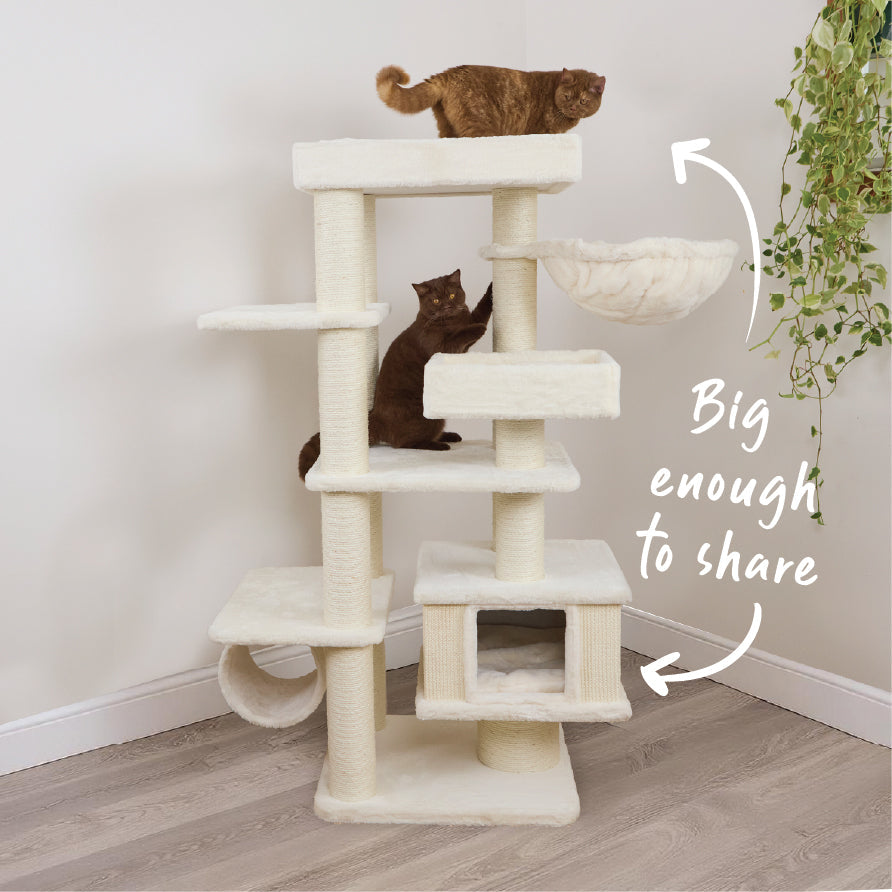 Cloud Nine Catnap Tower