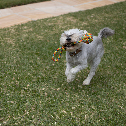 Braided Rope With Sling & Knot Ball DogToy