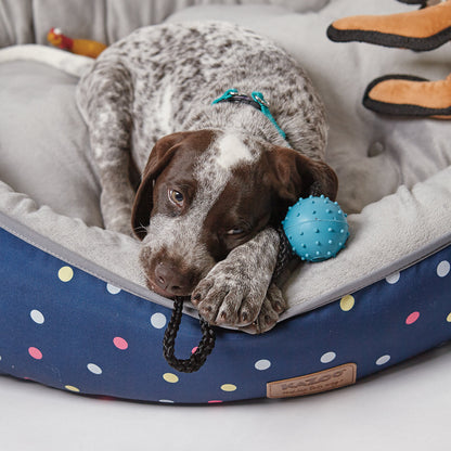 Healthy Gums Sling Ball Dog Toy