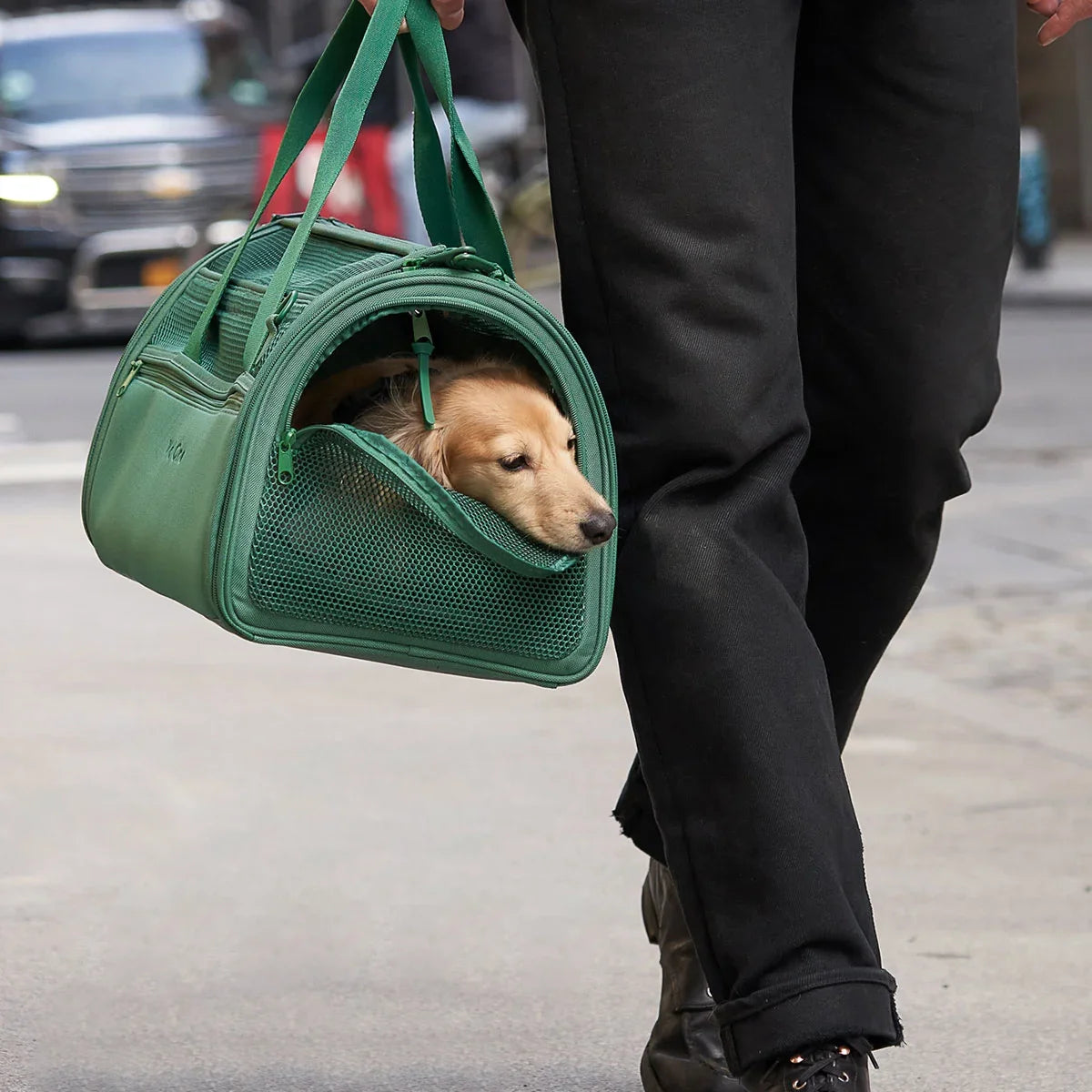 Travel Carrier - Spruce