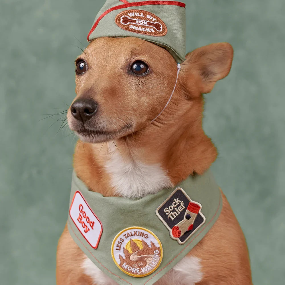 Less Talk More Walk Badge