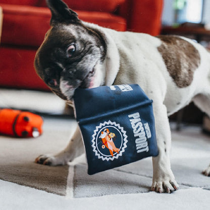 Globetrotter Pupster Passport