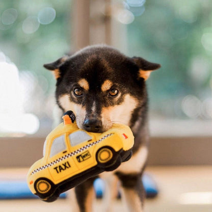 Canine Commute New Yap City Taxi
