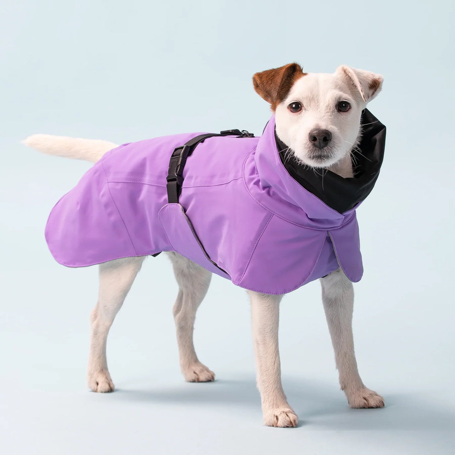 Visibility Winter Jacket - Lilac