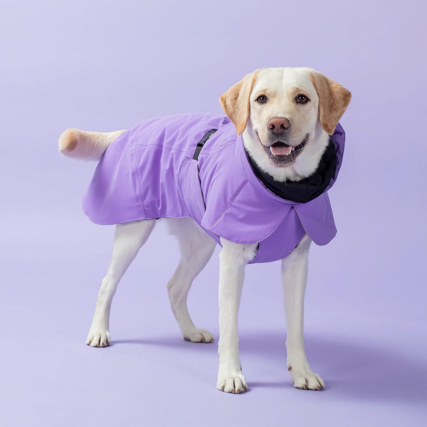 Visibility Winter Jacket - Lilac