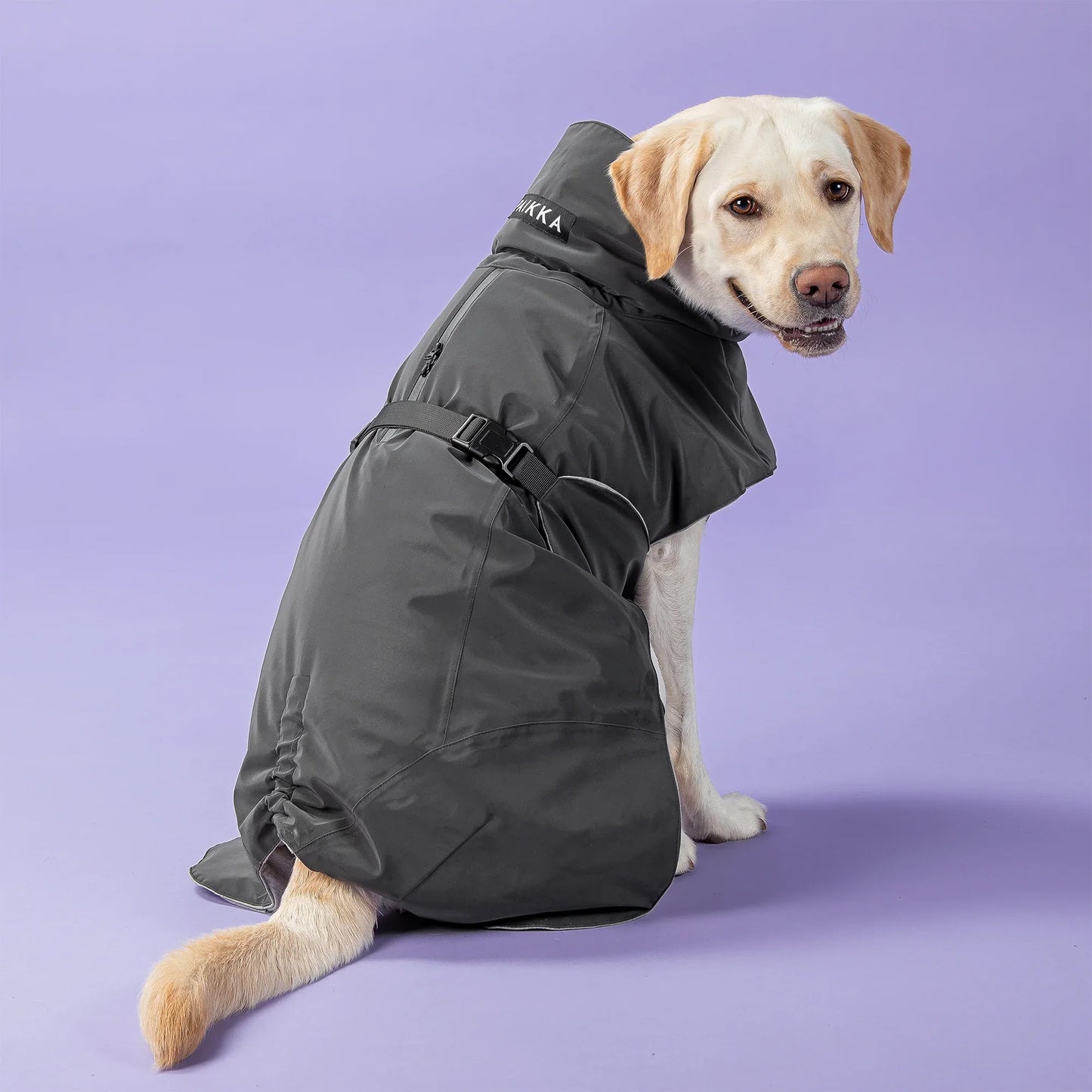 Visibility Winter Jacket - Dark