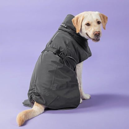 Visibility Winter Jacket - Dark