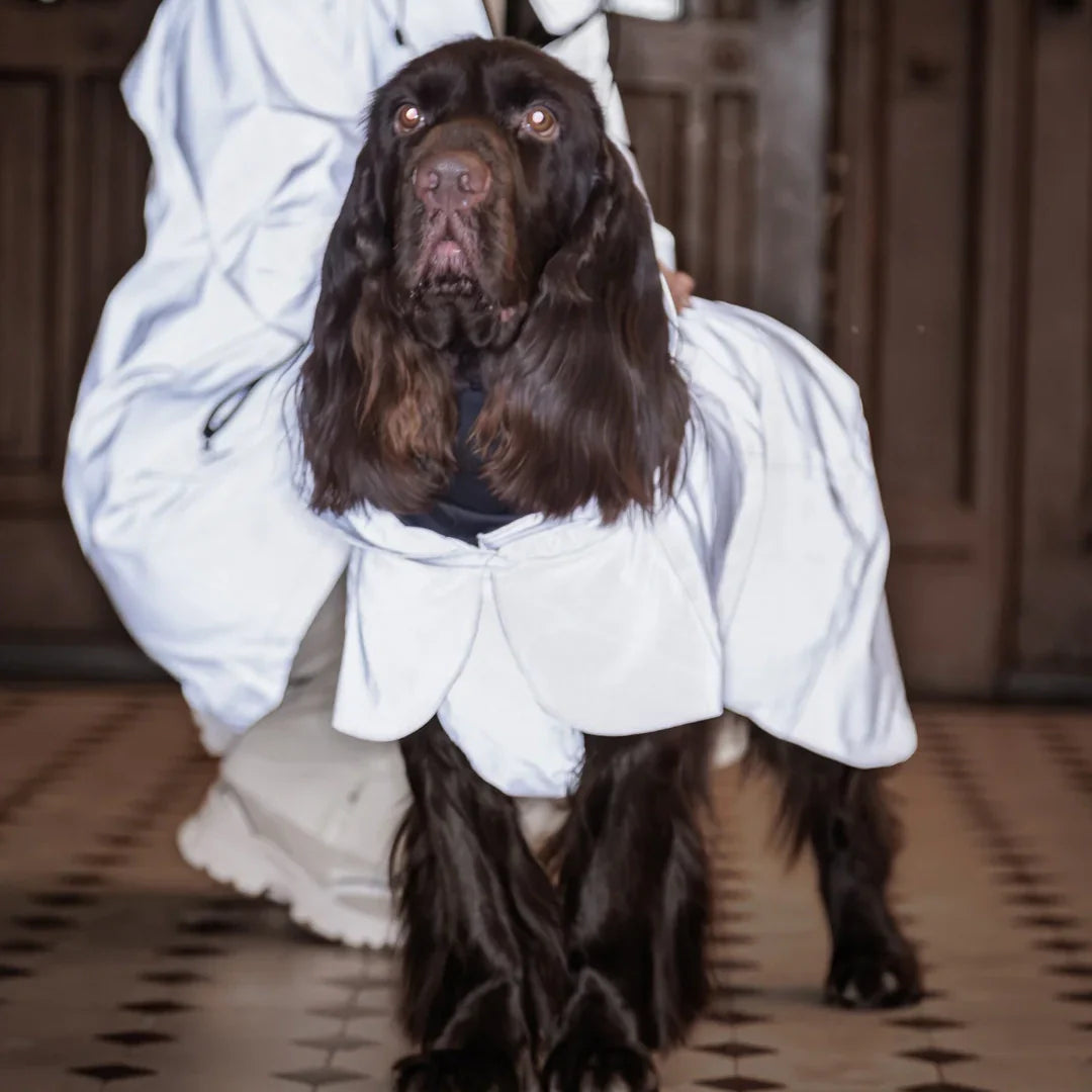 Visibility Raincoat Lite - Taupe