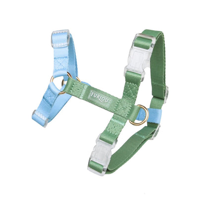 Dog Harness - Lake Day