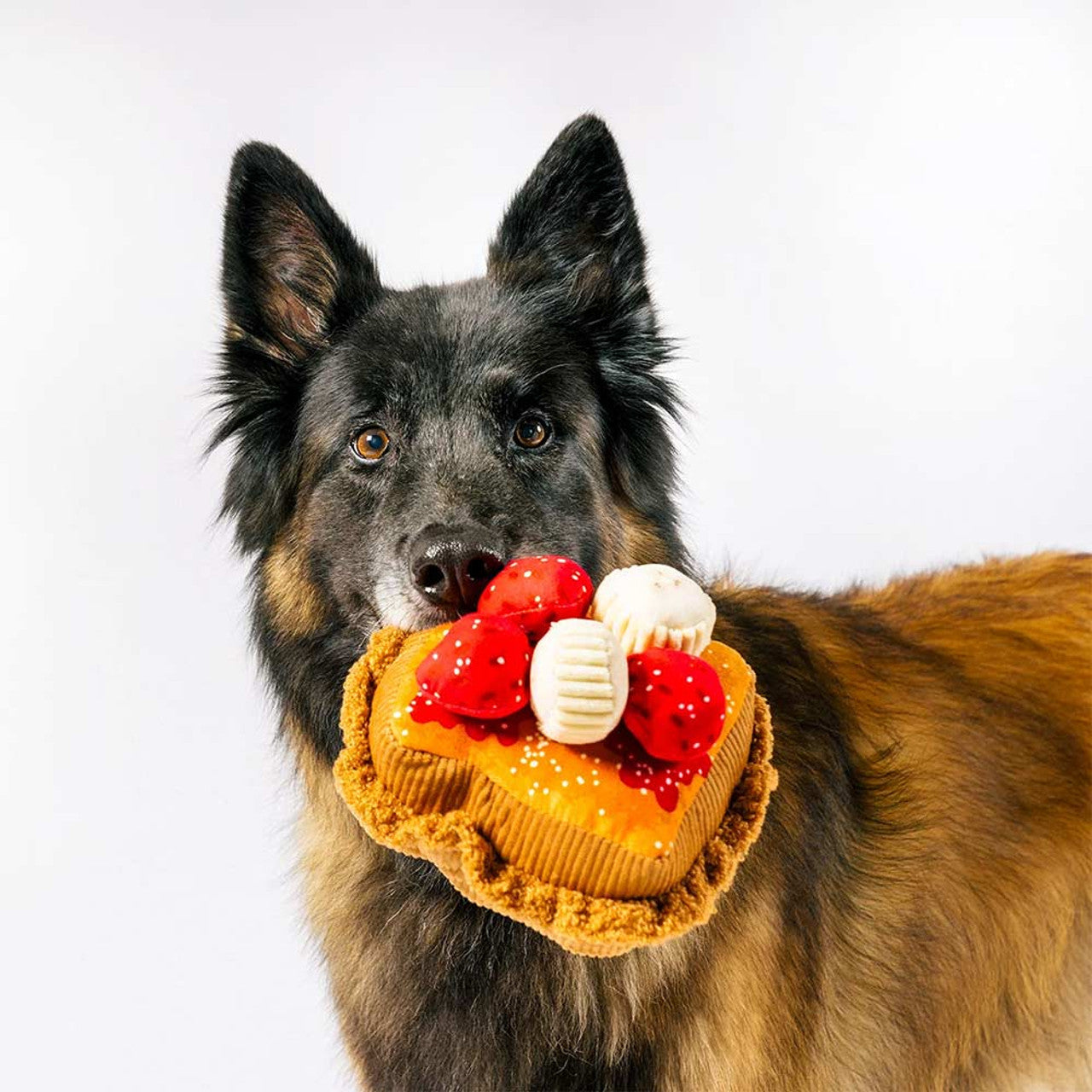 Thick 'N Fluffy French Toast