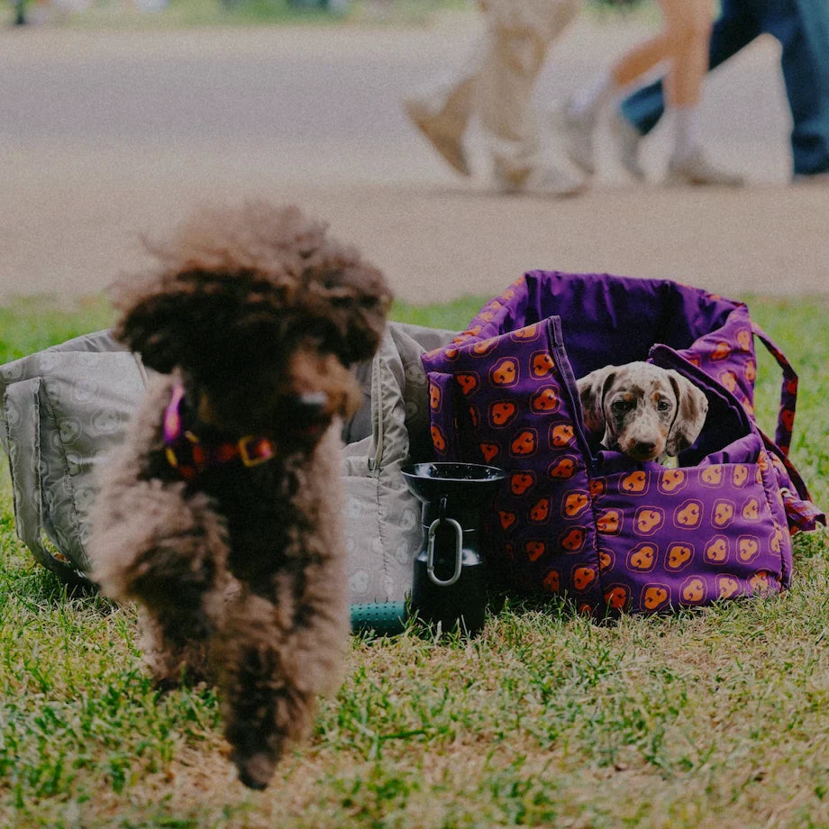 The Nap Bag | Furmey Original