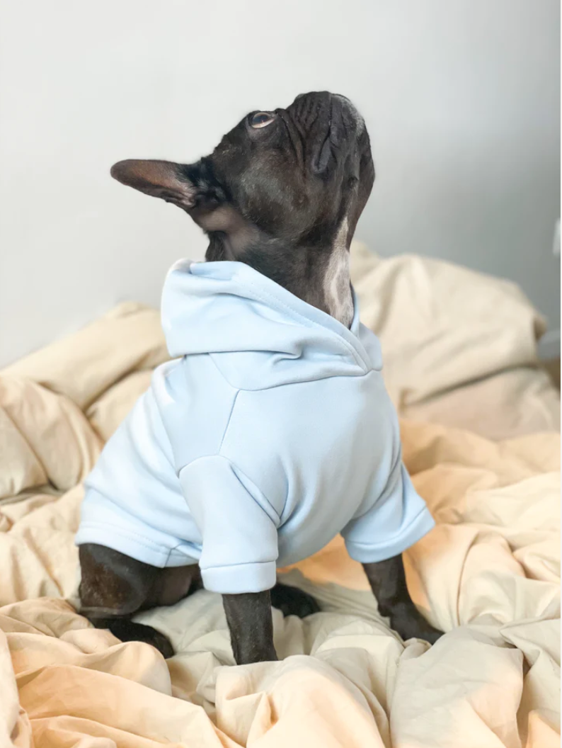 Dog Sweater - Pastel Blue