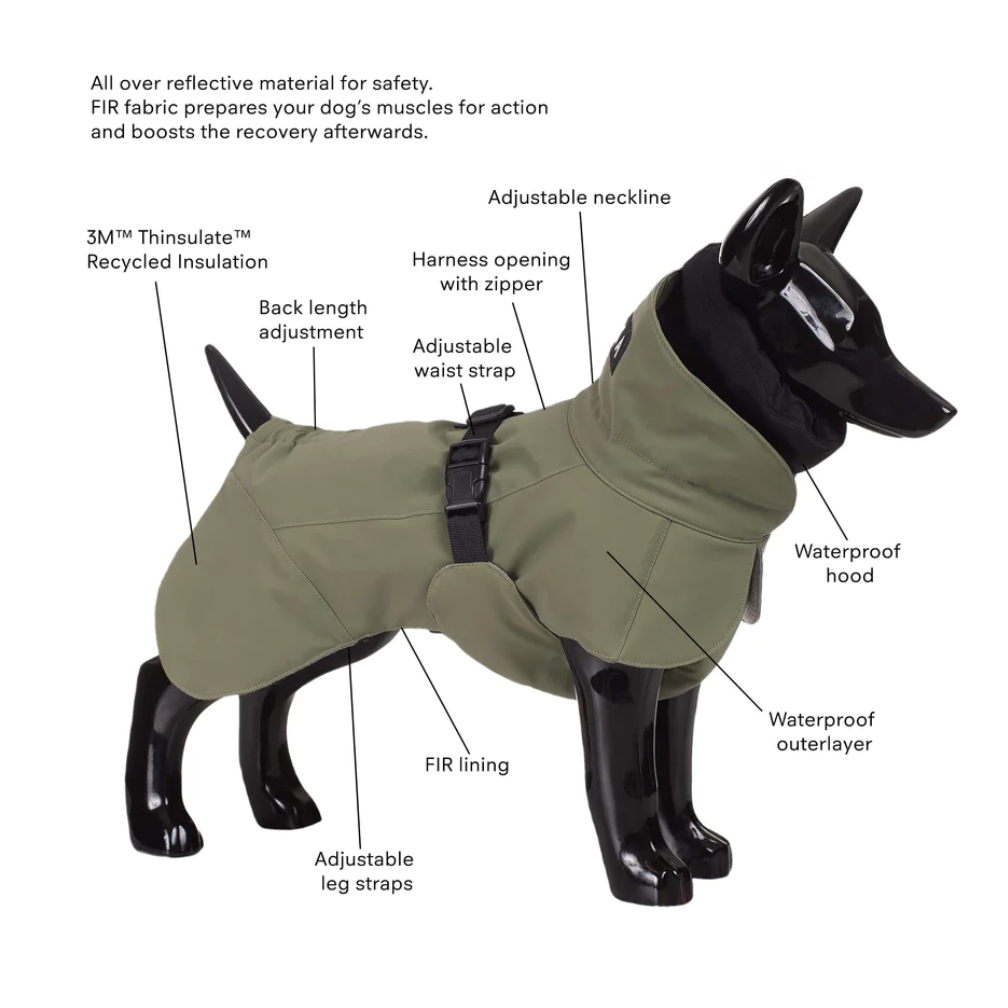 Visibility Winter Jacket - Green