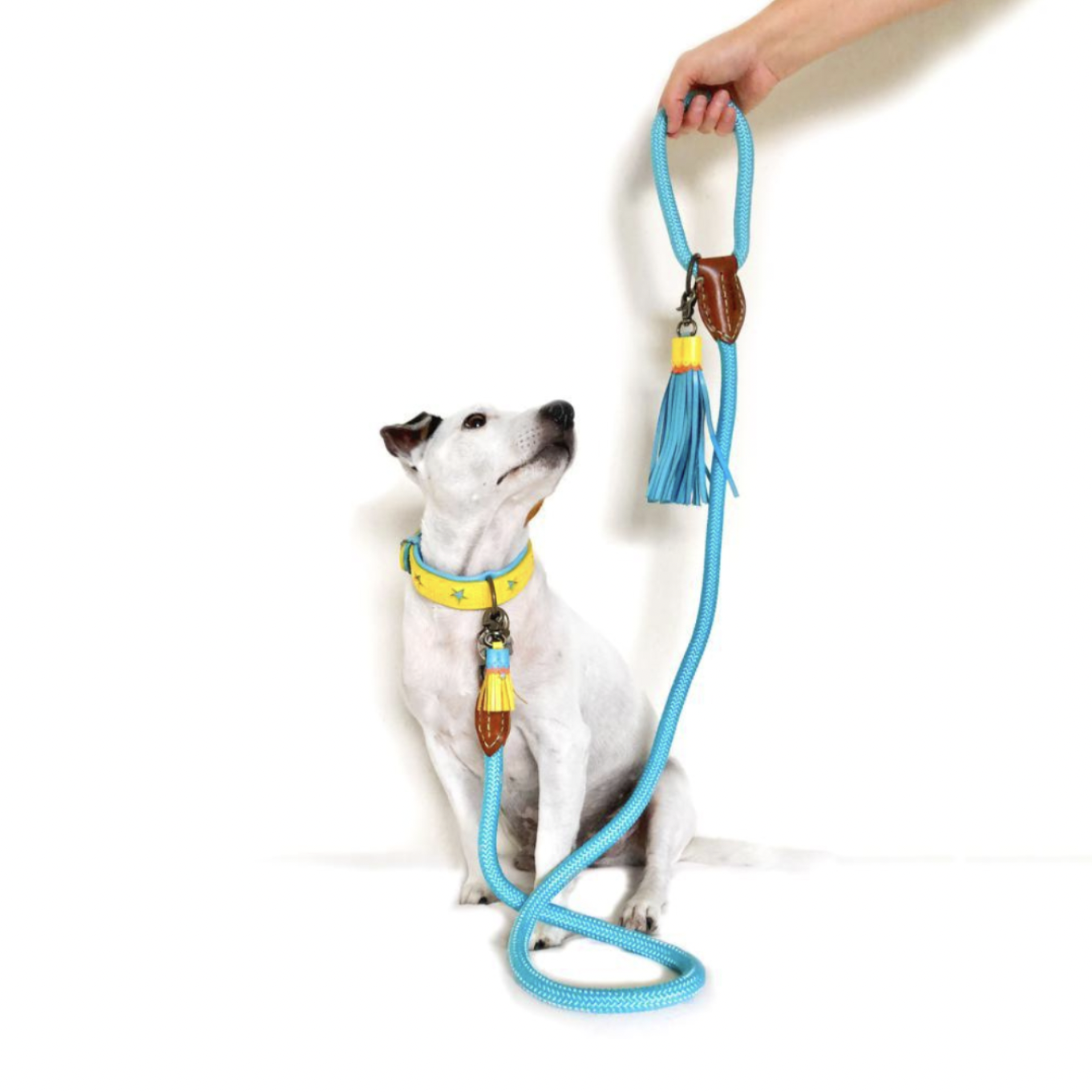 Blues Dog Leash