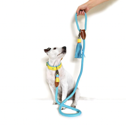 Blues Dog Leash