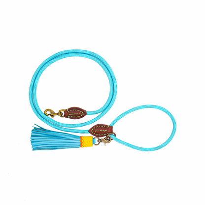 Blues Dog Leash