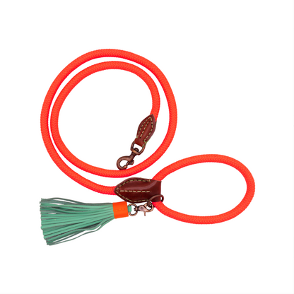 Carrot Cake Dog Leash