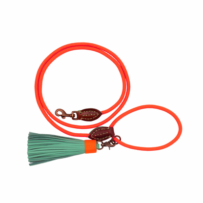 Carrot Cake Dog Leash