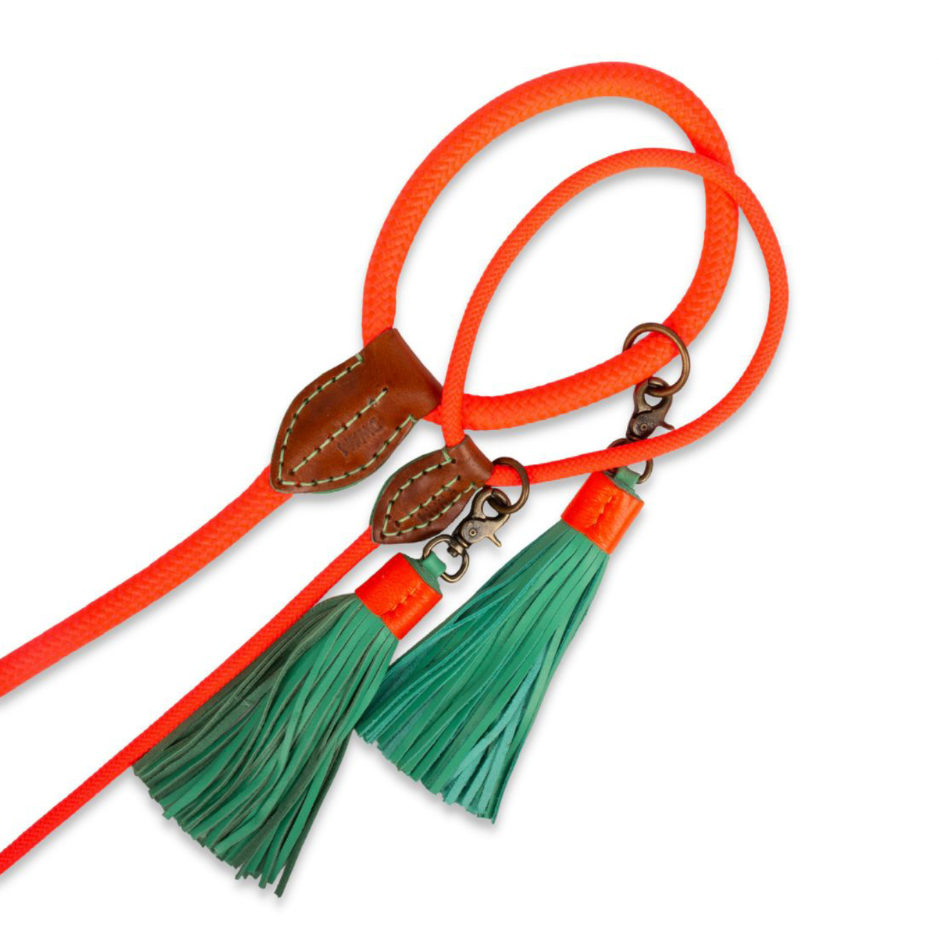 Carrot Cake Dog Leash