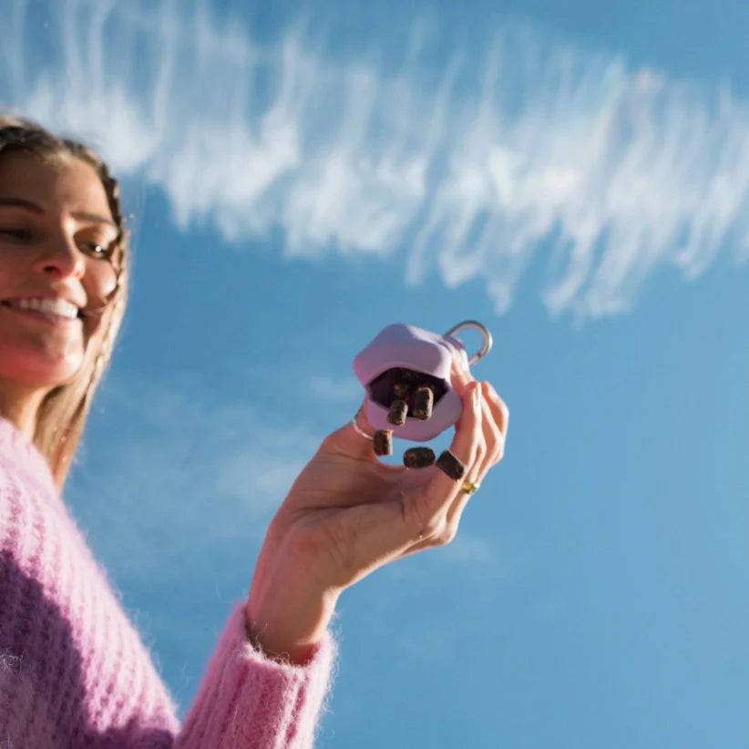 Silicone Dog Treat Dispenser - Lilac