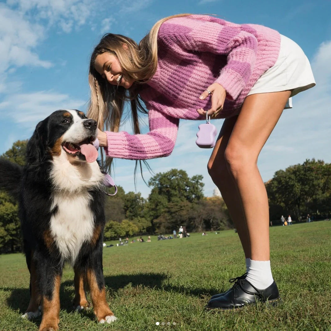 Silicone Dog Treat Dispenser - Lilac