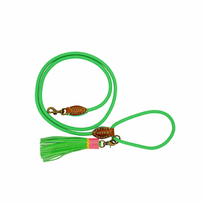 Apple Pie Dog Leash