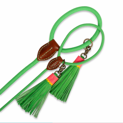 Apple Pie Dog Leash