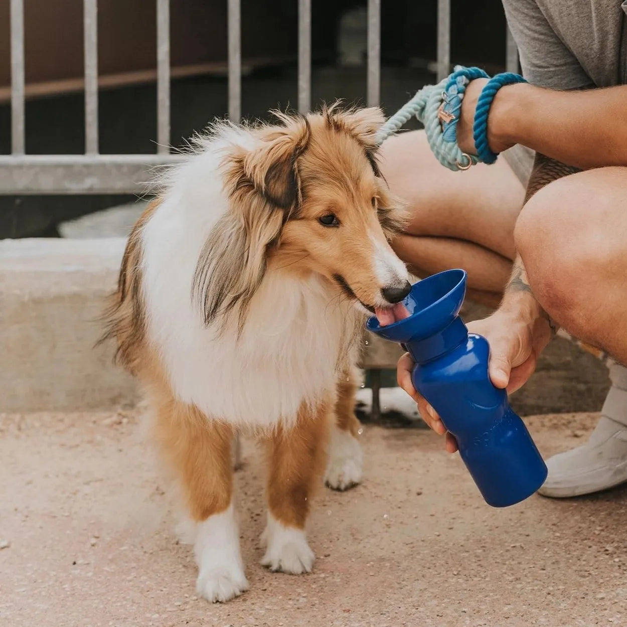 Travel Water Bottle - Indigo