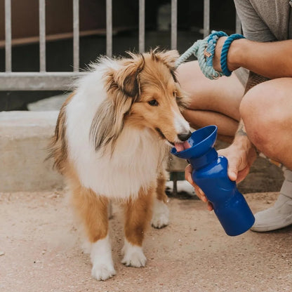 Travel Water Bottle - Indigo