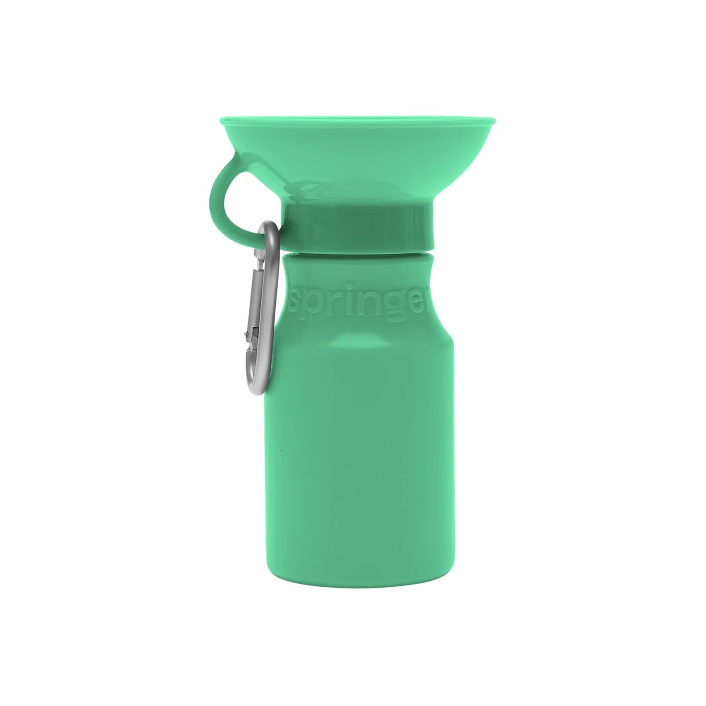 Travel Water Bottle - Springer Green