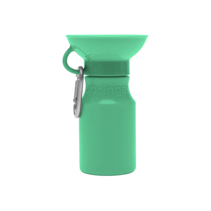Travel Water Bottle - Springer Green