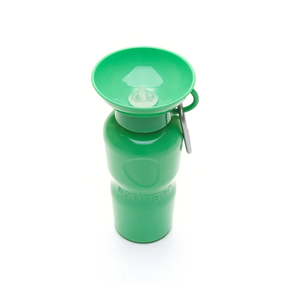 Travel Water Bottle - Springer Green