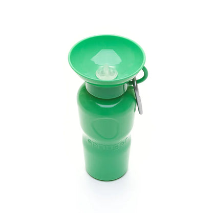 Travel Water Bottle - Springer Green