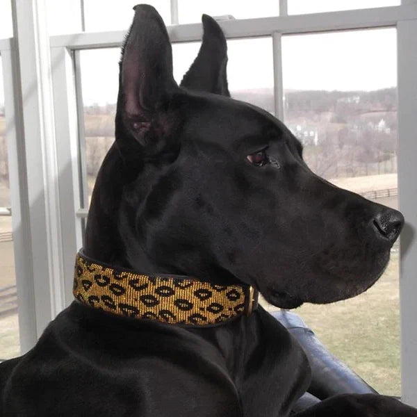 Beaded Dog Collar - Leopard